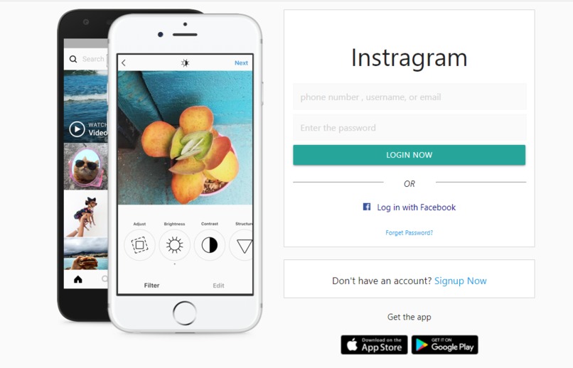Instragram Login Page in React – screenshot 2
