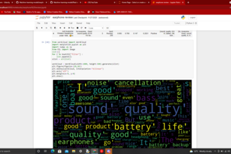 Sentimental Analysis of Earphone Reviews