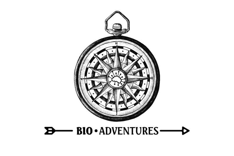 BioAdventures : Learn, Move & Explore – screenshot 28