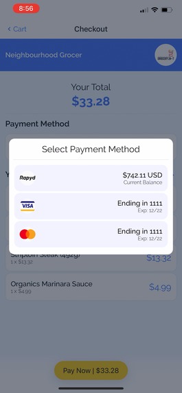 Rapyd OnePay – screenshot 7