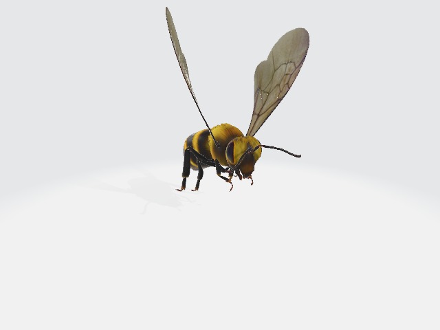 Create 3D Model – screenshot 1