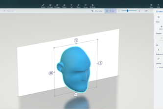Create a 3D model