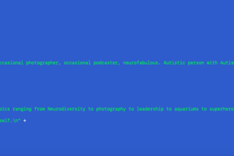 TwitterAPI User Search