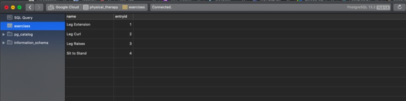 Physical Therapy Database – screenshot 1