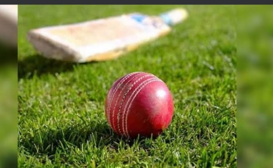 Favourite sport – screenshot 2