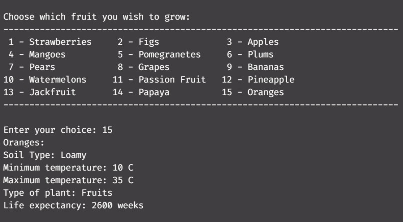 V I V A F E R N – screenshot 5