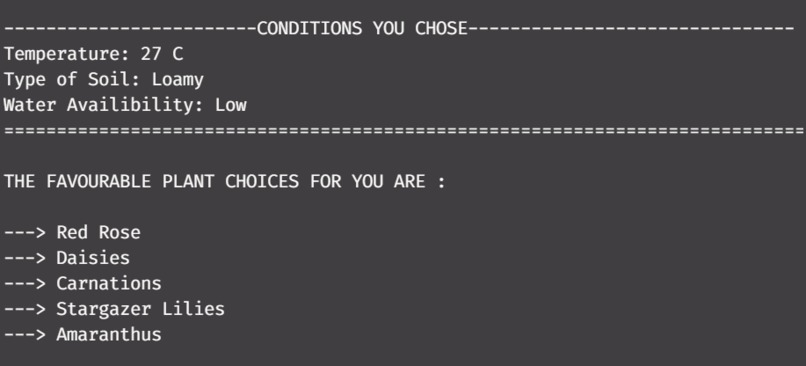 V I V A F E R N – screenshot 4