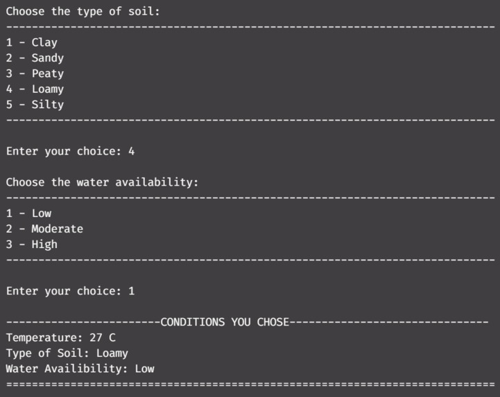 V I V A F E R N – screenshot 3