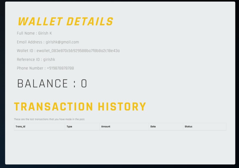 Rapyd-Pay – screenshot 8