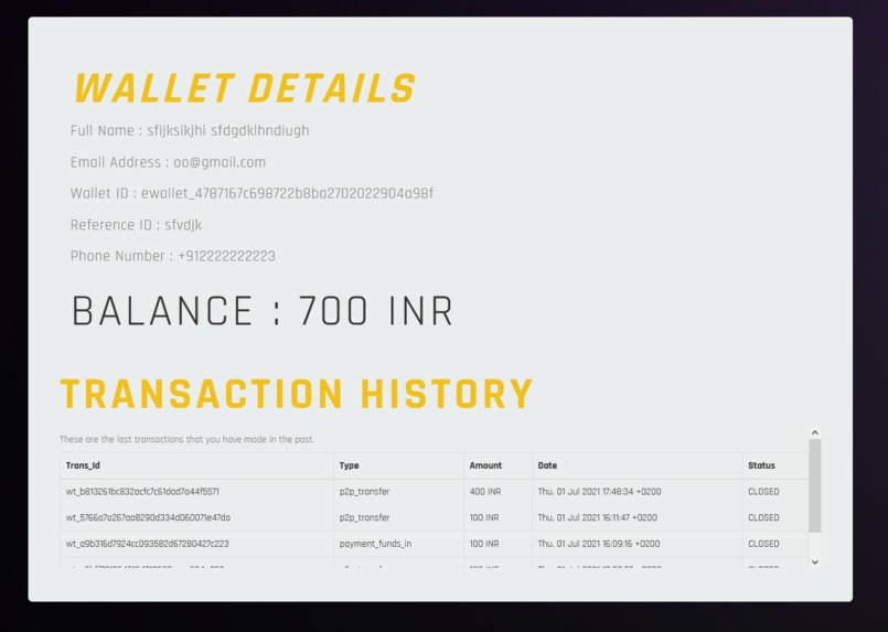 Rapyd-Pay – screenshot 9