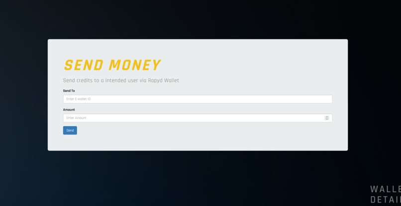 Rapyd-Pay – screenshot 6
