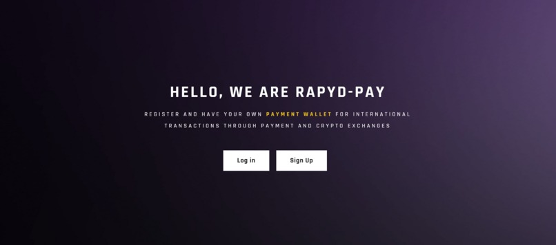 Rapyd-Pay – screenshot 1