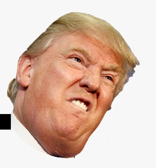 The Presidential Race – screenshot 9