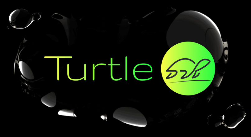 Turtle Finance – screenshot 1