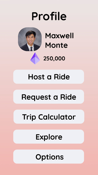 shotgun: Optimizing the modern travel experience. – screenshot 4