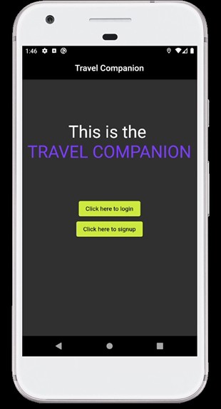 Travel Companion – screenshot 2