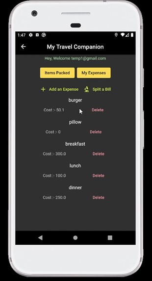 Travel Companion – screenshot 4