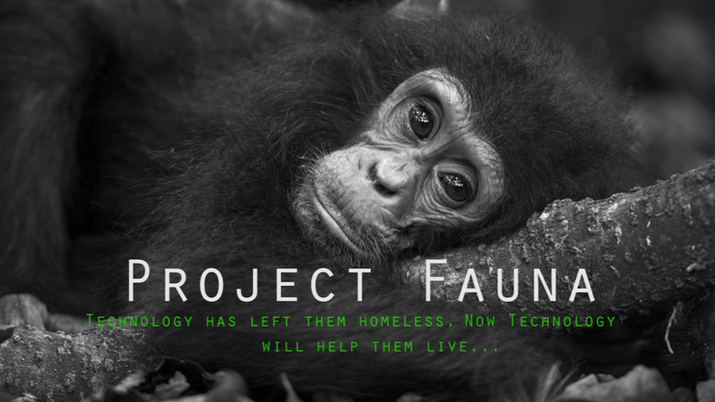 Project fauna – screenshot 1
