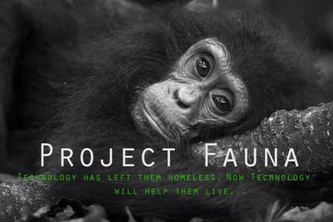 Project fauna