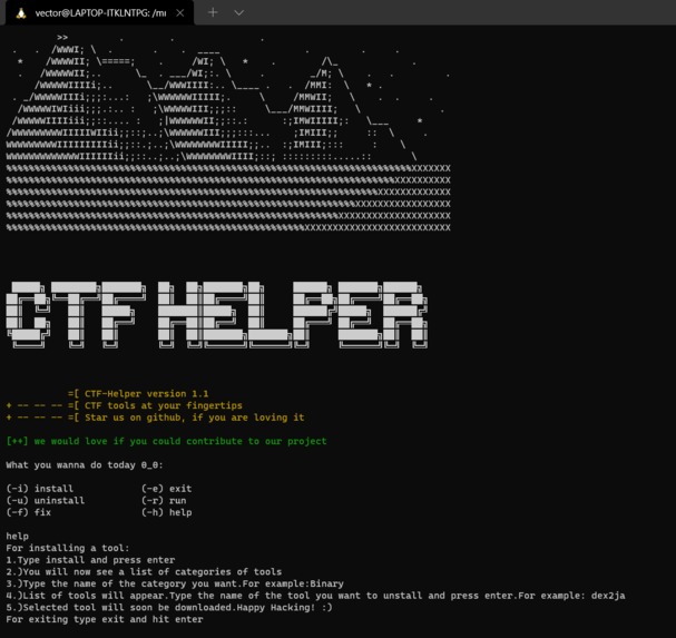 Capture The Flag! – screenshot 3