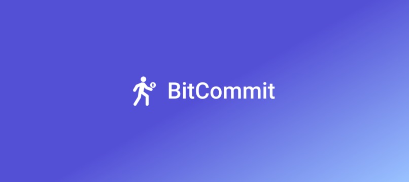 BitCommit – screenshot 1