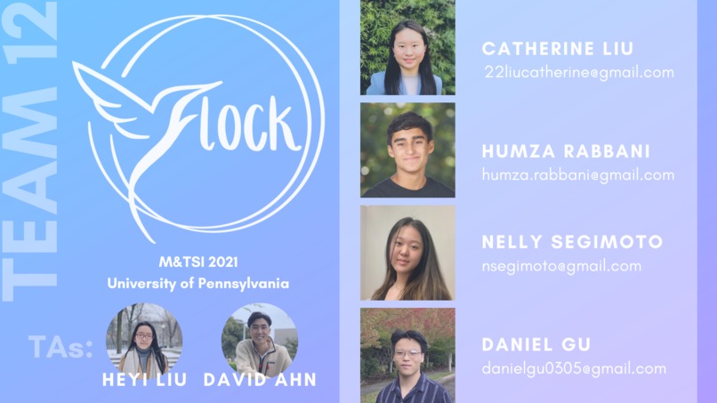 Team 12 - Flock – screenshot 1