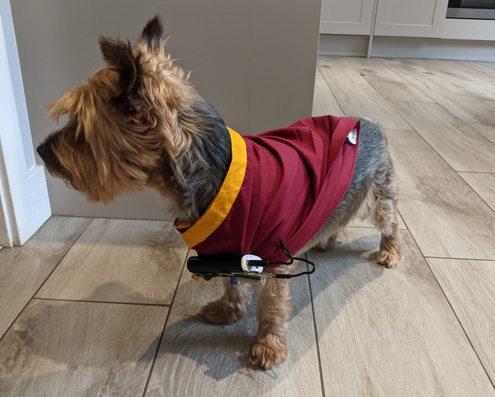 HackerDog8 – screenshot 3