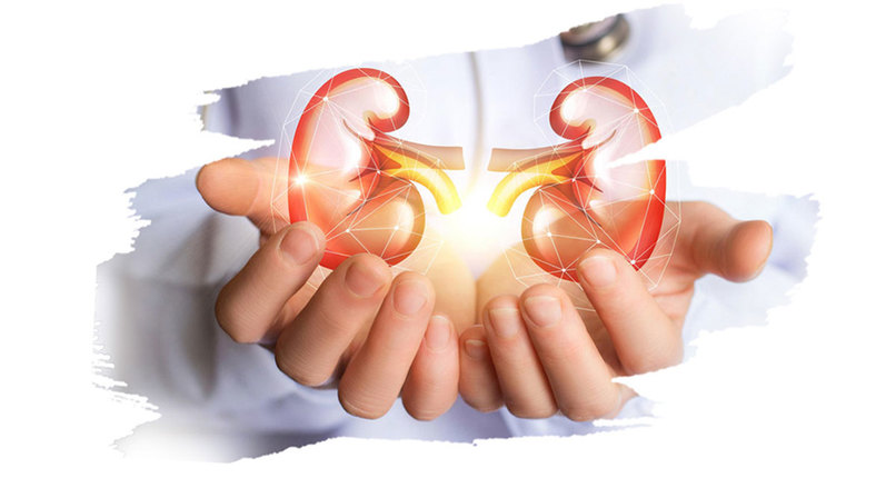 DiaLogs – screenshot 1