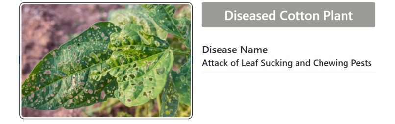 COTTON PLANT DISEASE DETECTION – screenshot 3