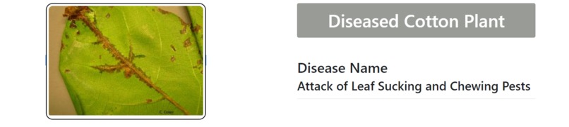 COTTON PLANT DISEASE DETECTION – screenshot 4