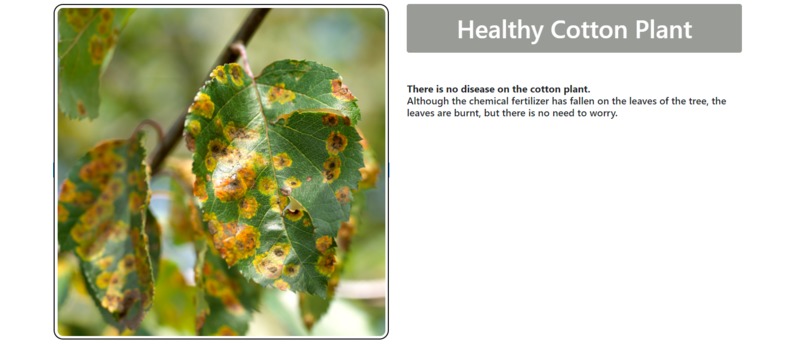 COTTON PLANT DISEASE DETECTION – screenshot 5