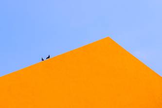 The Emotions of Color