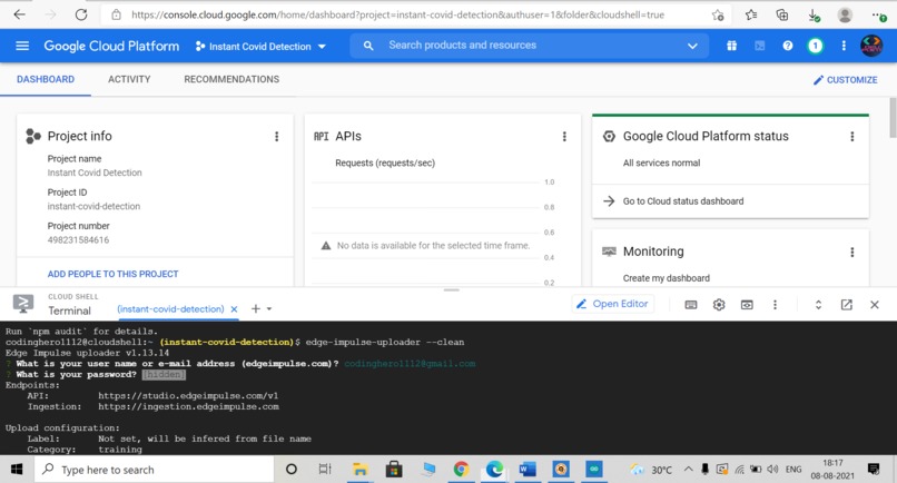 Instant-Covid19-Detection – screenshot 2
