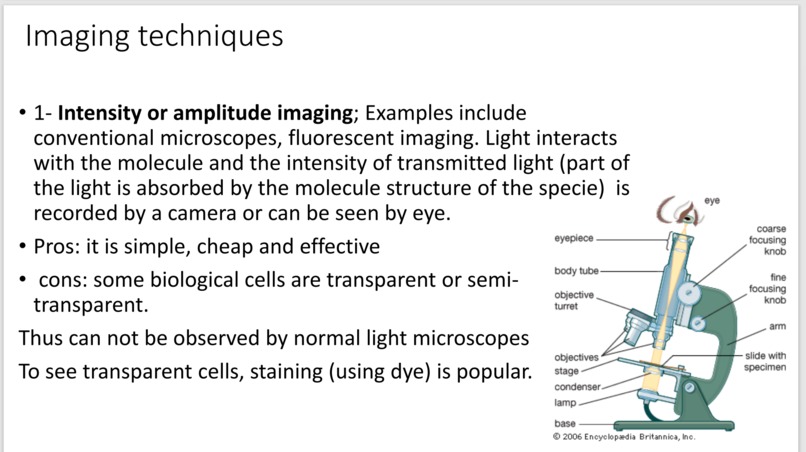 Leukemia Cancer Stage Detection  – screenshot 3