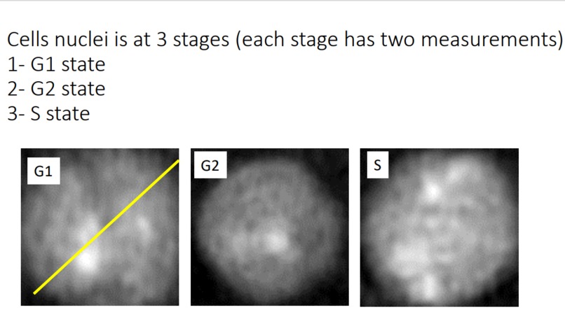 Leukemia Cancer Stage Detection  – screenshot 2