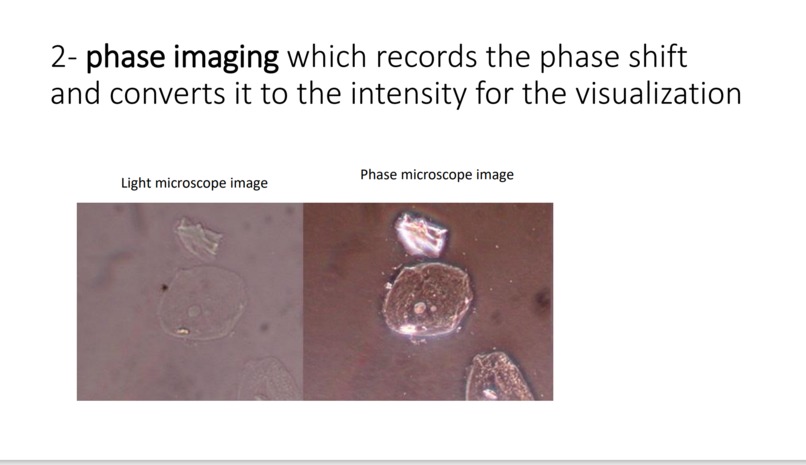 Leukemia Cancer Stage Detection  – screenshot 4