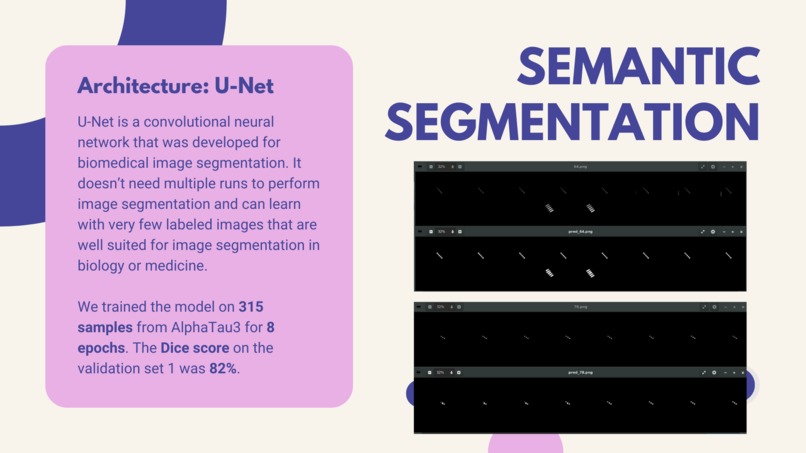 AlphaTau Seed Segmentation Using Unet – screenshot 4