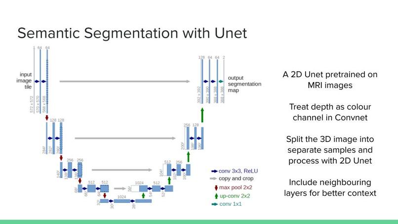 CT Image Segmentation – screenshot 4