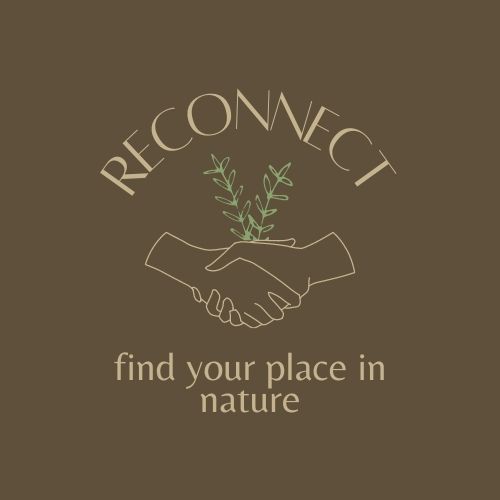 RECONNECT – screenshot 2