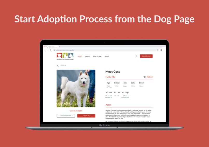 Streamlining Pet Adoption Process – screenshot 3