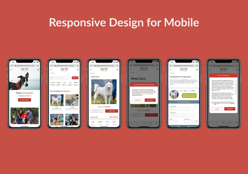 Streamlining Pet Adoption Process – screenshot 6