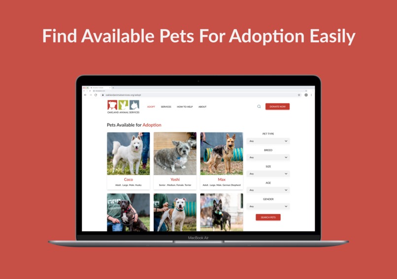 Streamlining Pet Adoption Process – screenshot 2