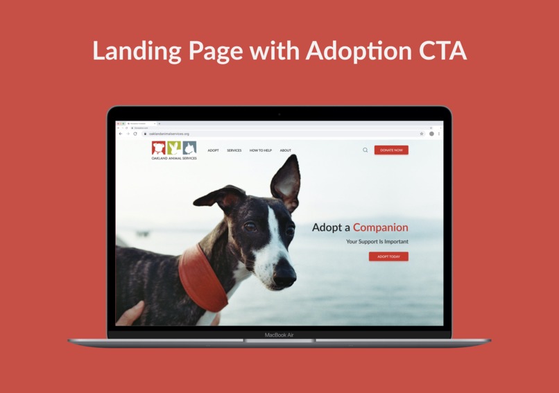 Streamlining Pet Adoption Process – screenshot 1