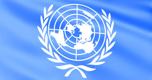 Assessing United Nations Human Rights Resolutions – screenshot 1
