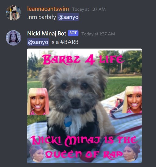 Nicki Minaj Discord Bot + Website – screenshot 4