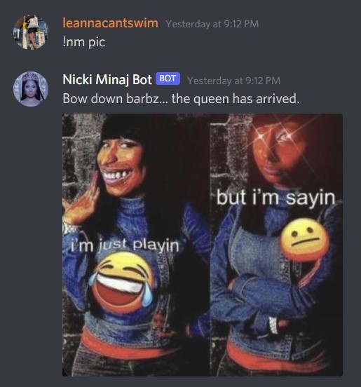 Nicki Minaj Discord Bot + Website – screenshot 2