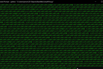 Ransomware Encryption and Information Virus Website