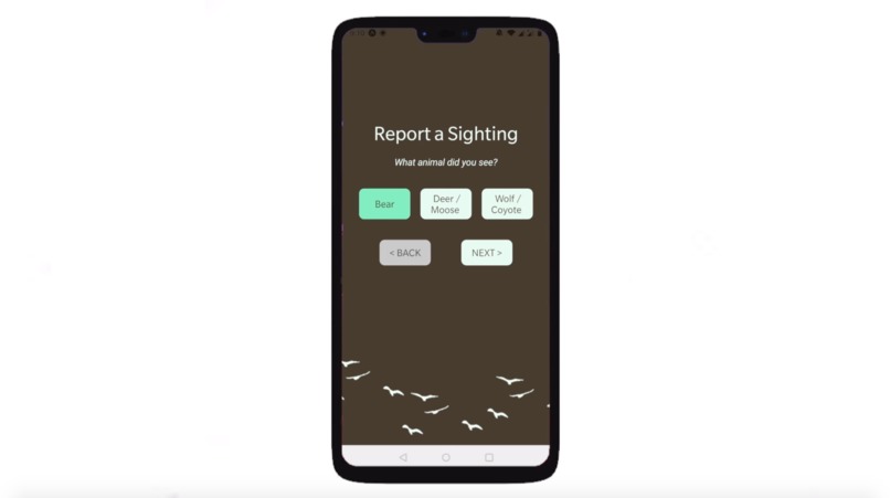 Bear in Mind – screenshot 6