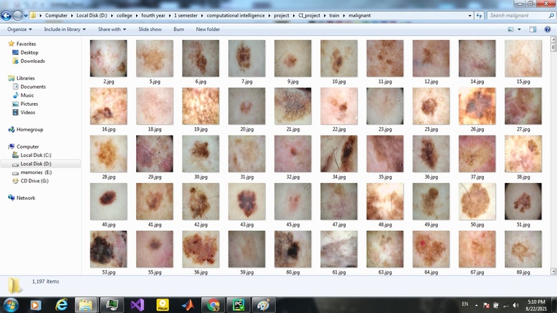 Skin Diagnosis  – screenshot 4