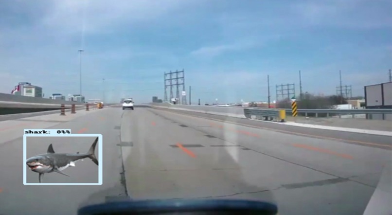 Shark on the Road – screenshot 1